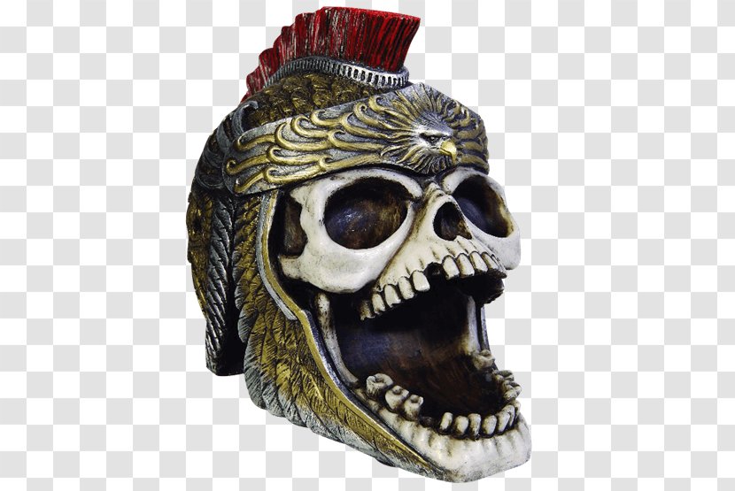 Golden Eagle Skull Aquila Human Skeleton - Head - Roman Transparent PNG