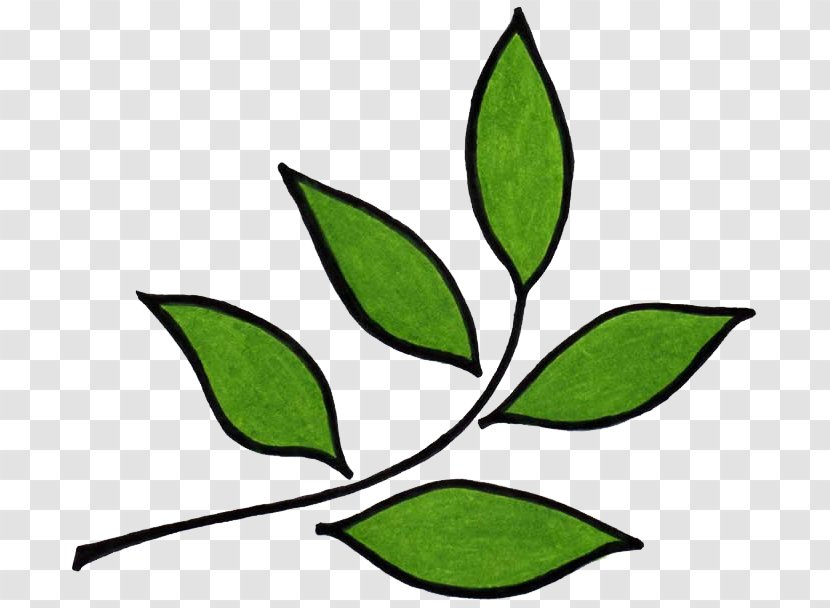 Trisara Garden Organic Food Agriculture Manure - Fertilizer - Logo Leaf Transparent PNG