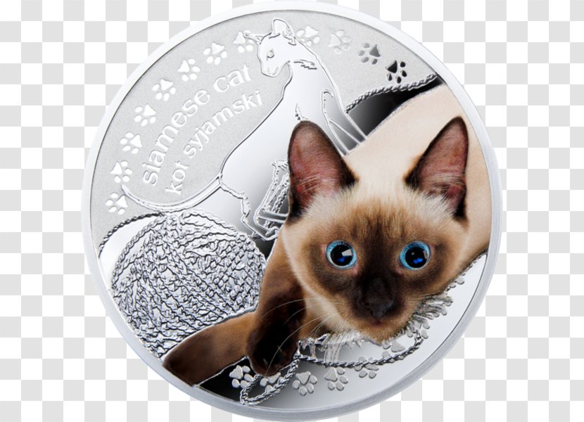 Siamese Cat Tonkinese Whiskers Kitten Maine Coon Transparent PNG