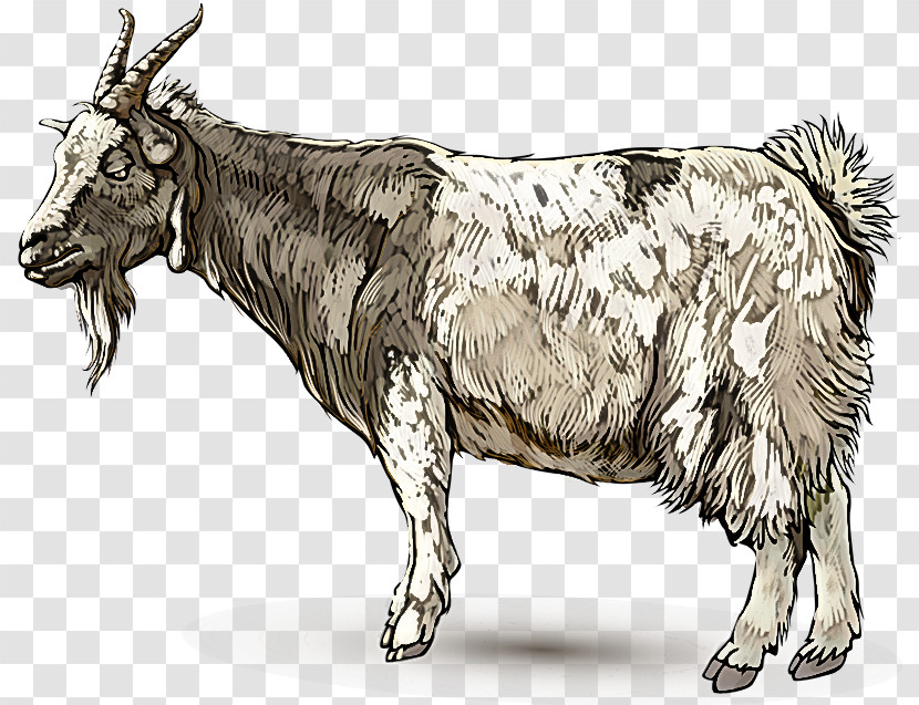 Bovine Cow-goat Family Ox Horn Livestock Transparent PNG