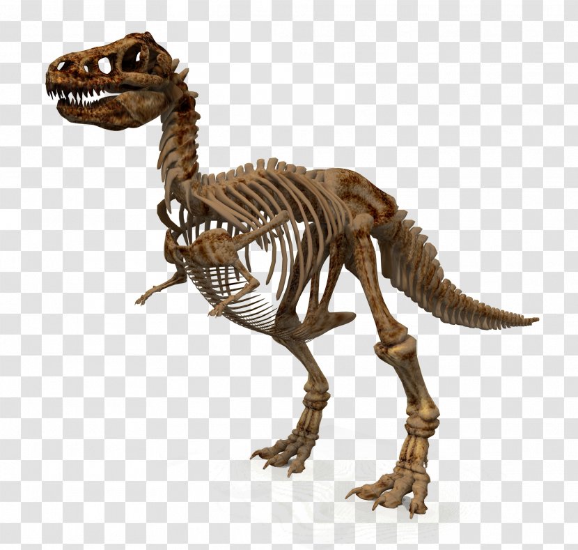 Tyrannosaurus Dinosaur Transparent PNG