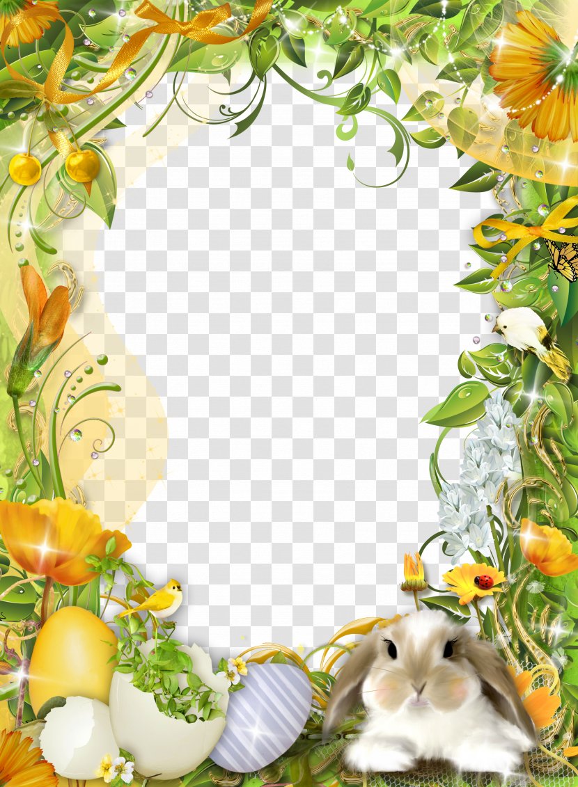 Easter Bunny Picture Frame Photography - Decor - Template Design Pattern Transparent PNG