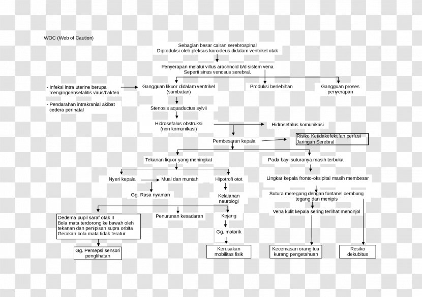 Hydrocephalus Shunt Complication Spasm Child - Frame - Villus Transparent PNG