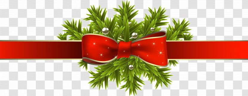 Red Ribbon Christmas Gift - Pine Family - With Branches Clipart Image Transparent PNG