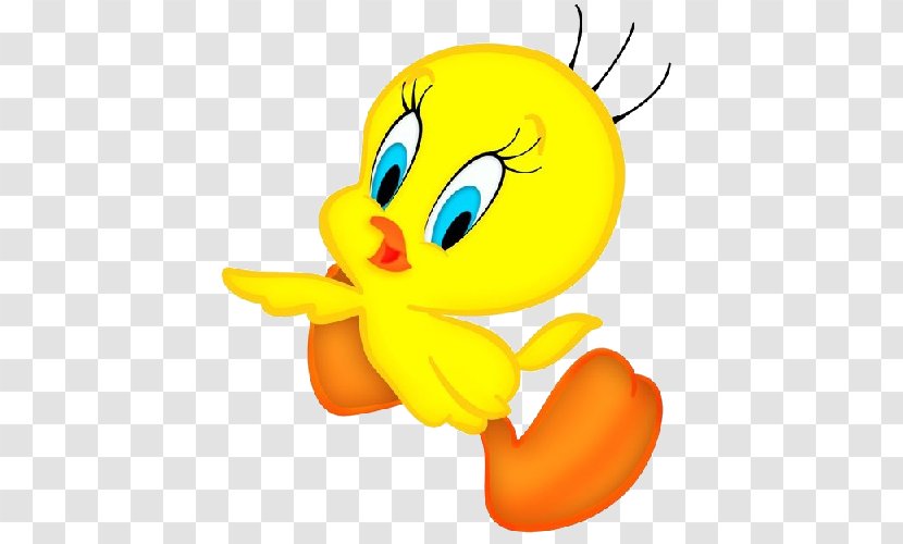 Tweety Sylvester Cartoon Looney Tunes - Parrot Transparent PNG