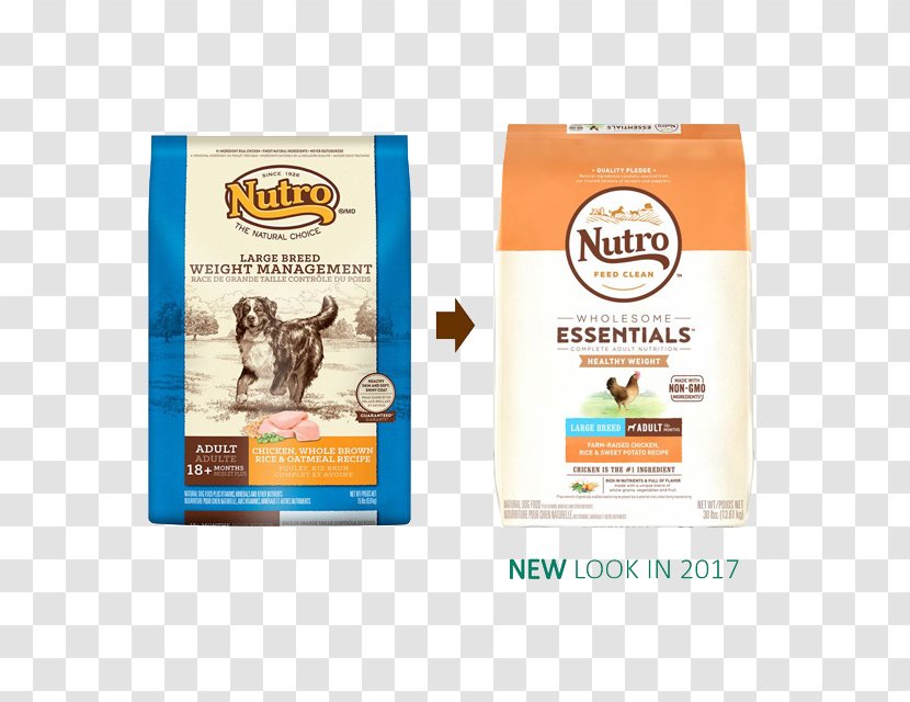 Dog Food Nutro Products Chicken As - Healthy Weight Loss Transparent PNG