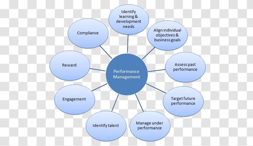 Market Research Marketing Organization - Communication - Performance Management Transparent PNG