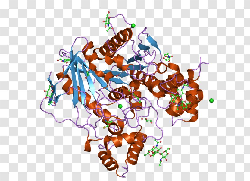 Butyrylcholinesterase Acetylcholinesterase - Heart - Silhouette Transparent PNG