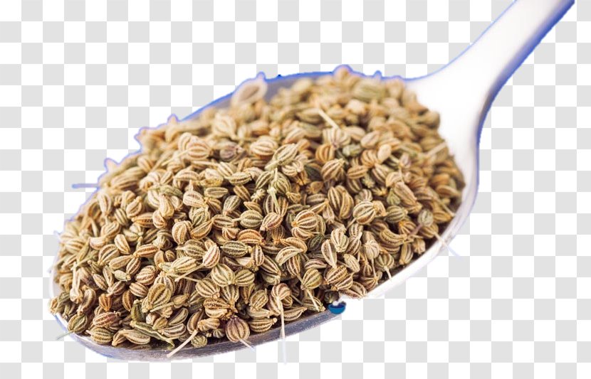 Ajwain Oat Fennel Seed Cereal Germ - Mixture - Water Transparent PNG