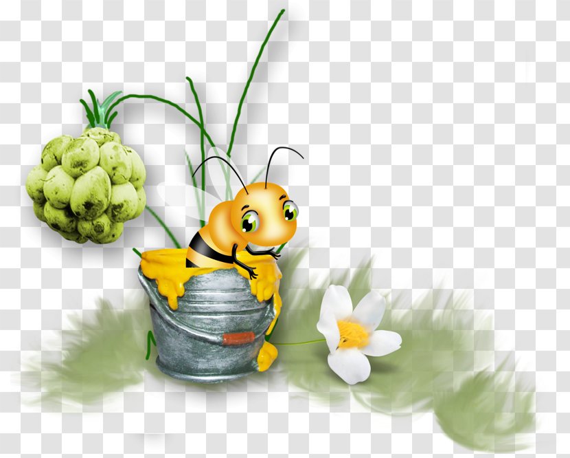 Honey Bee Maya Clip Art - Pollinator Transparent PNG