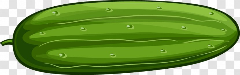 Cucumber Bitter Melon Cartoon - Vector Green Transparent PNG