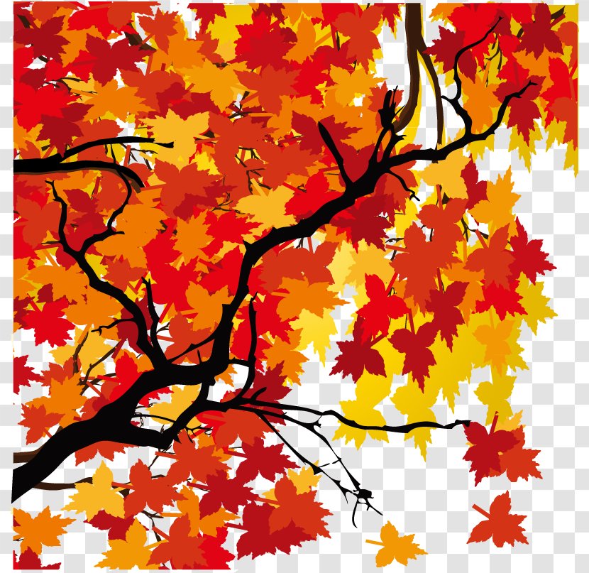 Maple Leaf Autumn - Yellow Transparent PNG