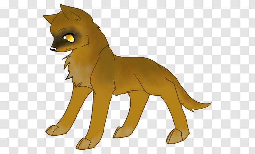 Lion Whiskers Red Fox Cougar Cat Transparent PNG
