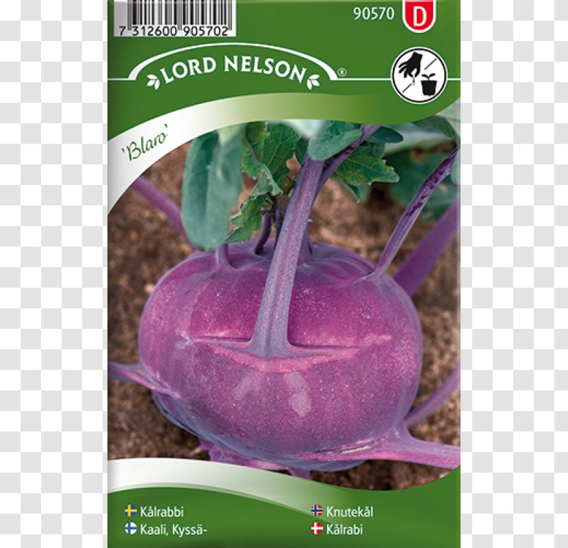 Kale Seed Всхожесть семян Brussels Sprout .fi - Vegetable - Brassica Oleracea Transparent PNG