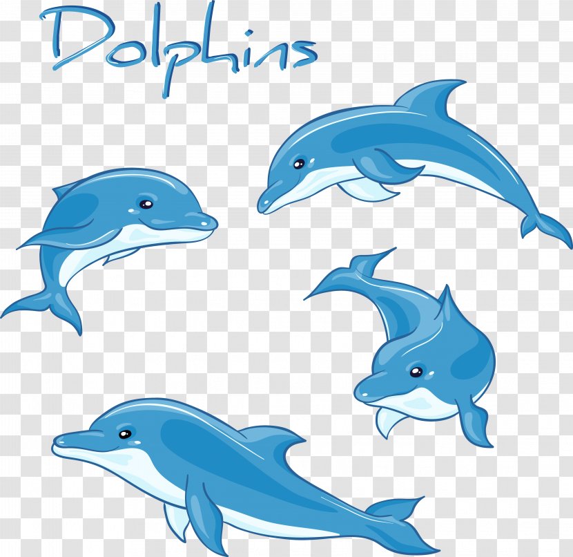 Dolphin Cartoon Drawing Royalty-free - Decorative Variety Of Positions Transparent PNG