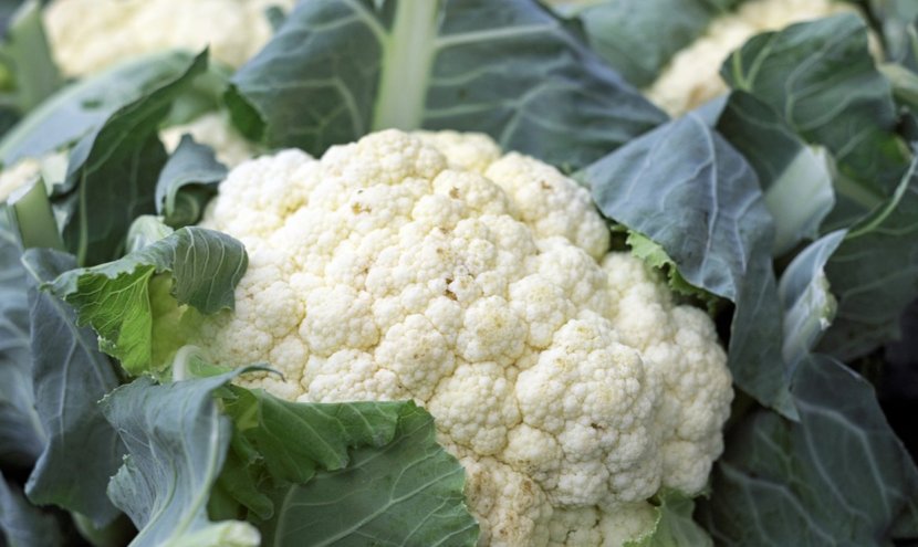 Cauliflower Broccoli Stuffing Vegetable Recipe Transparent PNG