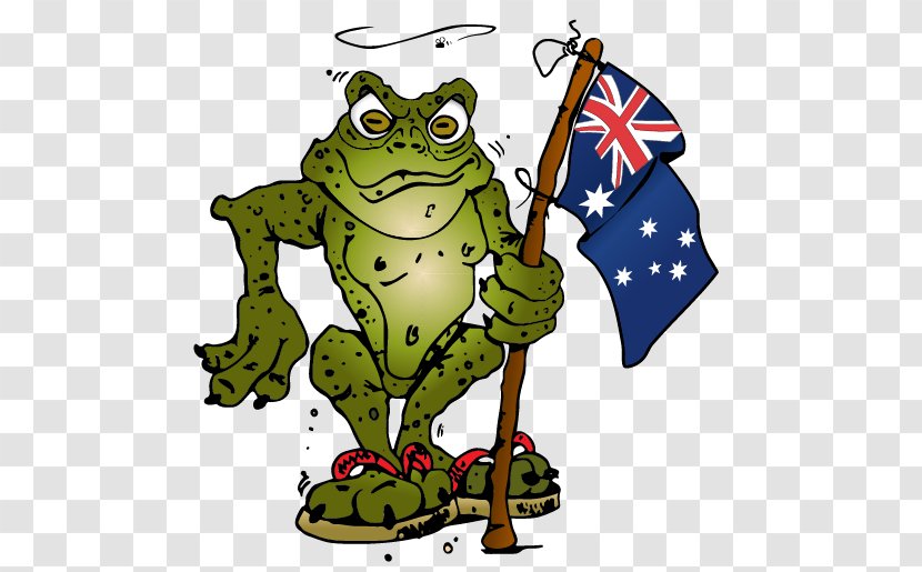 Cane Toads In Australia Clip Art Frog - Amphibian Transparent PNG