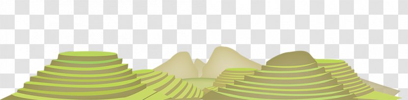 Philippines Business Company - Corporation - Rice Fields Transparent PNG