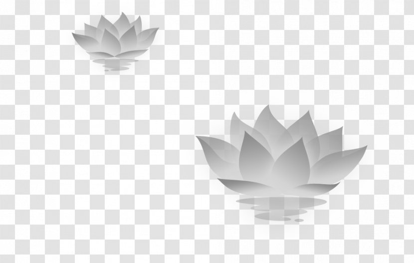 Nelumbo Nucifera Icon - Photography - The Lotus Flower Transparent PNG