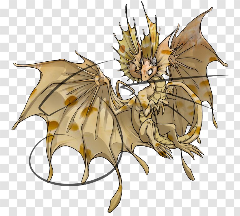 Dragon Fairy Thought Legend Person Transparent PNG