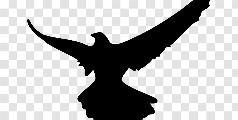 Silhouette Bird Falcon Clip Art - Hawk Transparent PNG