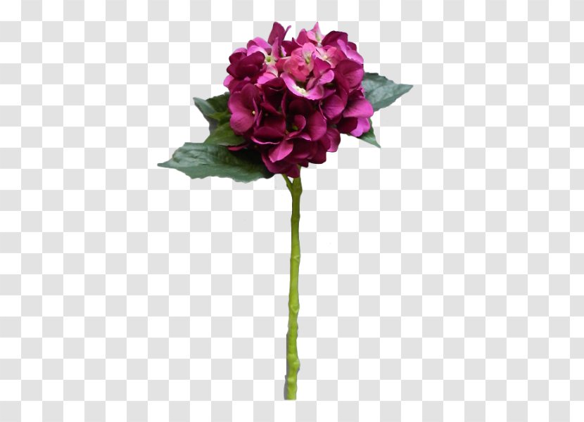 Garden Roses The Sims 2: Celebration! Stuff Cut Flowers Flower Bouquet Cabbage Rose - Magenta - Lilac Wine Transparent PNG