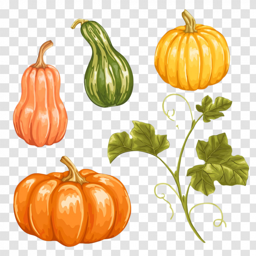 Thanksgiving Autumn Harvest Transparent PNG