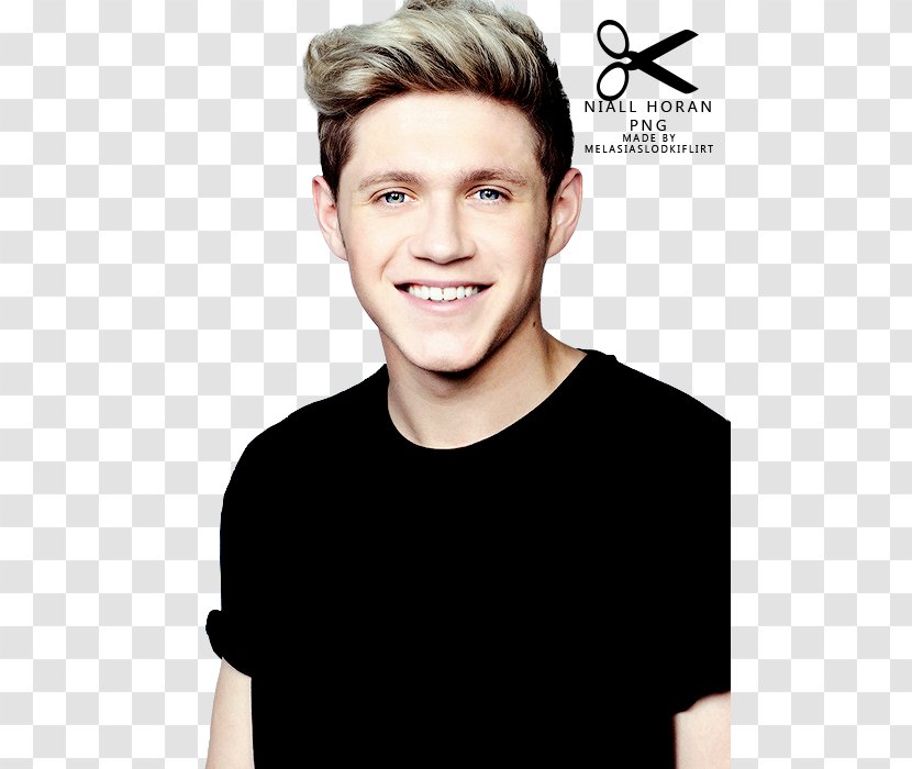 Niall Horan On The Road Again Tour Mullingar One Direction Way Or Another - Frame Transparent PNG