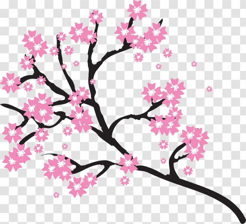 Cherry Blossom Drawing Clip Art - Flora Transparent PNG
