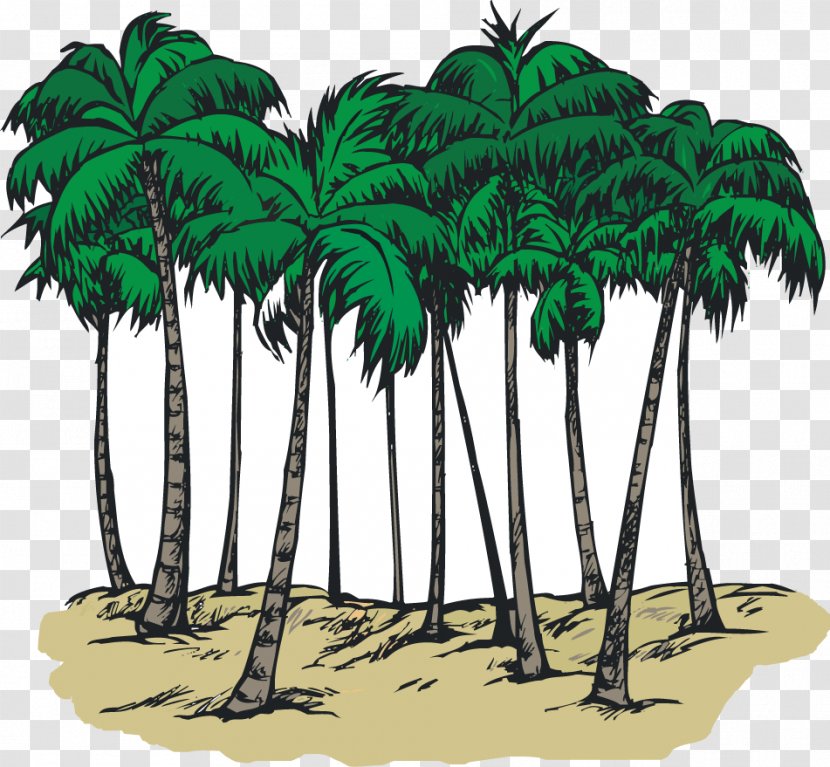 South Carolina Sabal Palm Arecaceae Coloring Book Clip Art - Beach - Picture Of Palmetto Tree Transparent PNG