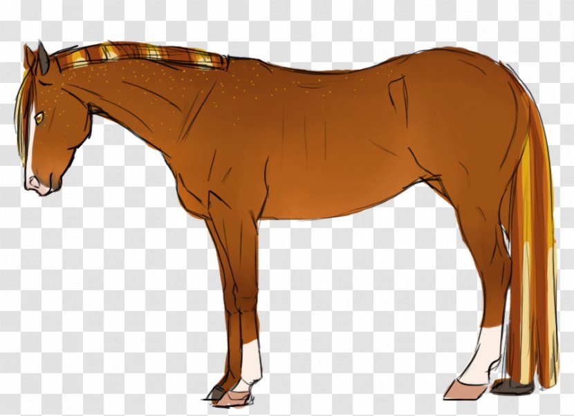 Foal Mane Stallion Rein Mustang Transparent PNG