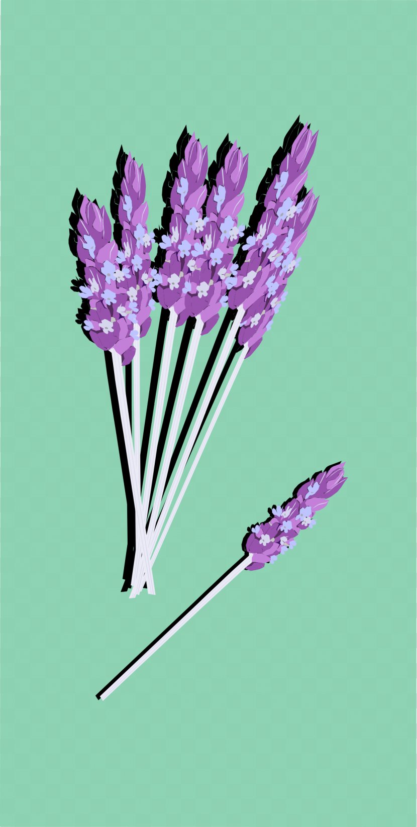 English Lavender - Plant Transparent PNG
