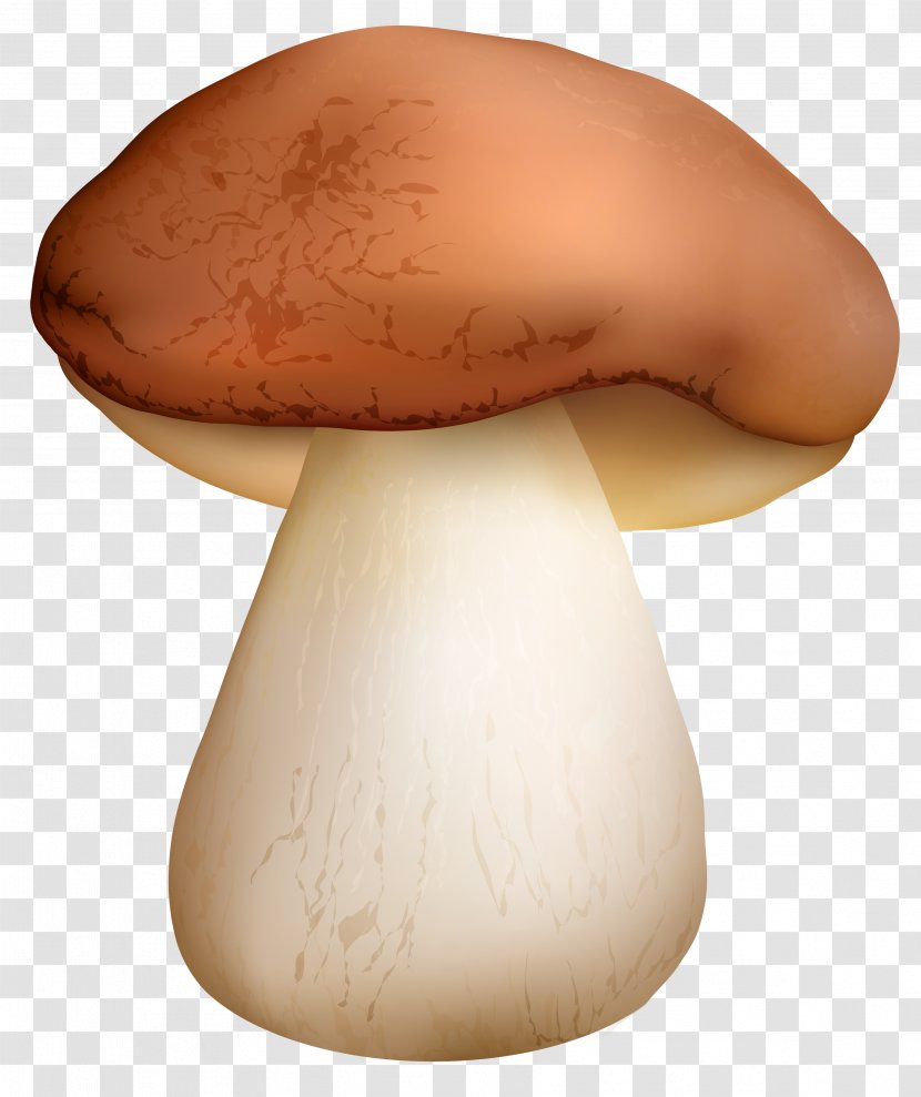 Boletus Edulis Edible Mushroom Clip Art Transparent PNG
