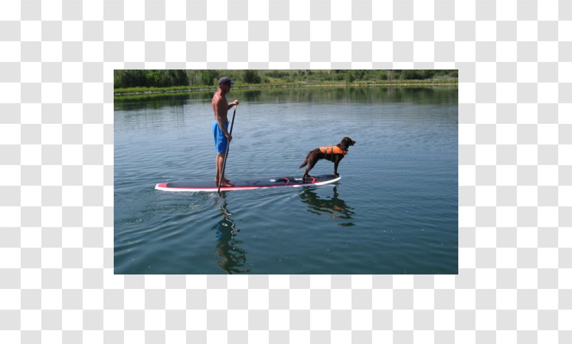 Standup Paddleboarding Paddle Board Yoga Surfing Transparent PNG