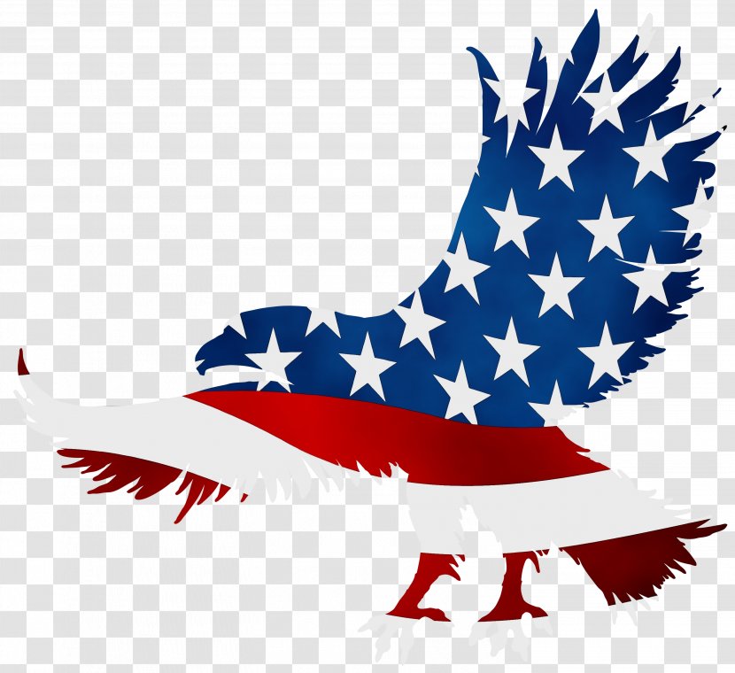Veterans Day United States - Sky - Accipitridae Transparent PNG