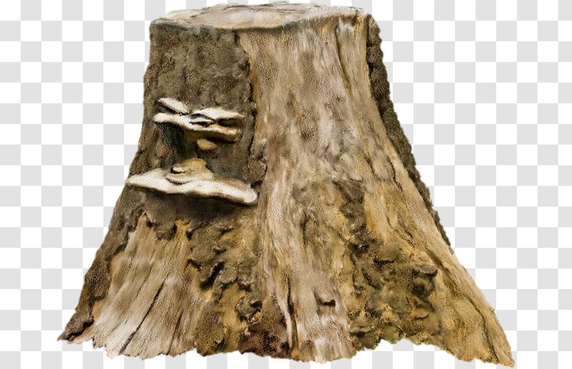 Tree Stump Photography Clip Art - Rock - Old Transparent PNG