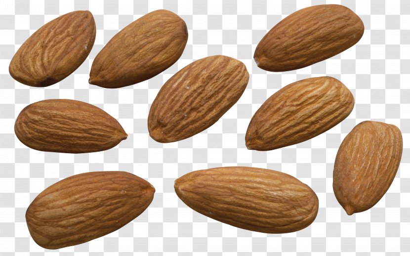 Nut Almond Biscuit Apricot Kernel Food - Prunus Transparent PNG