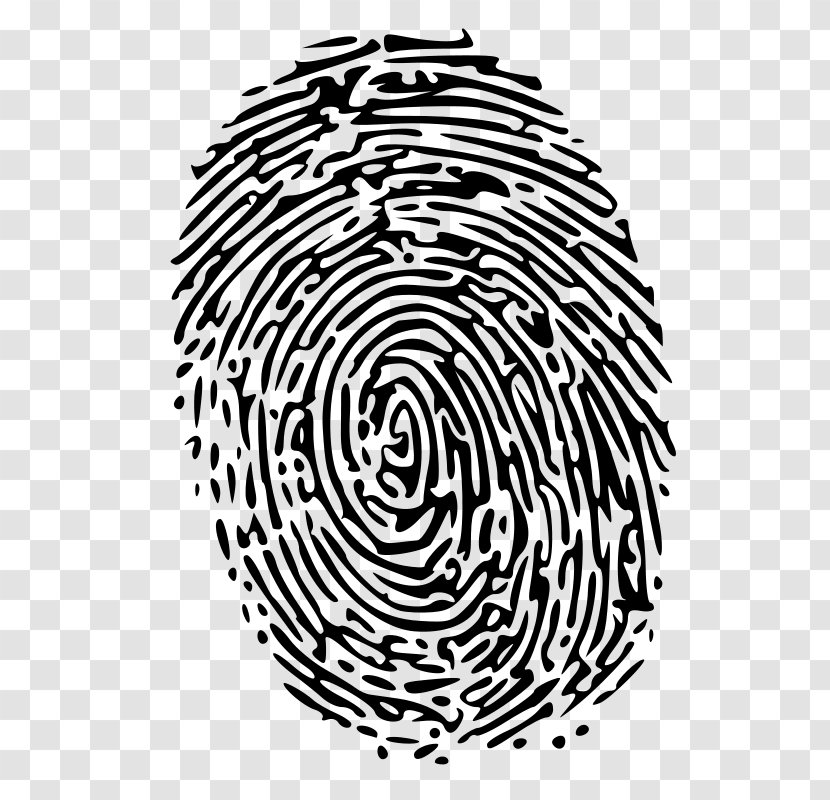 Fingerprint Forensic Science Clip Art - Black - Toe Transparent PNG