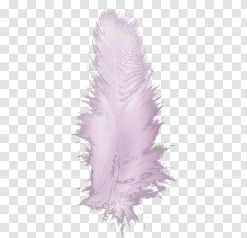 Feather Bird Drawing - Hand-painted Feathers Transparent PNG