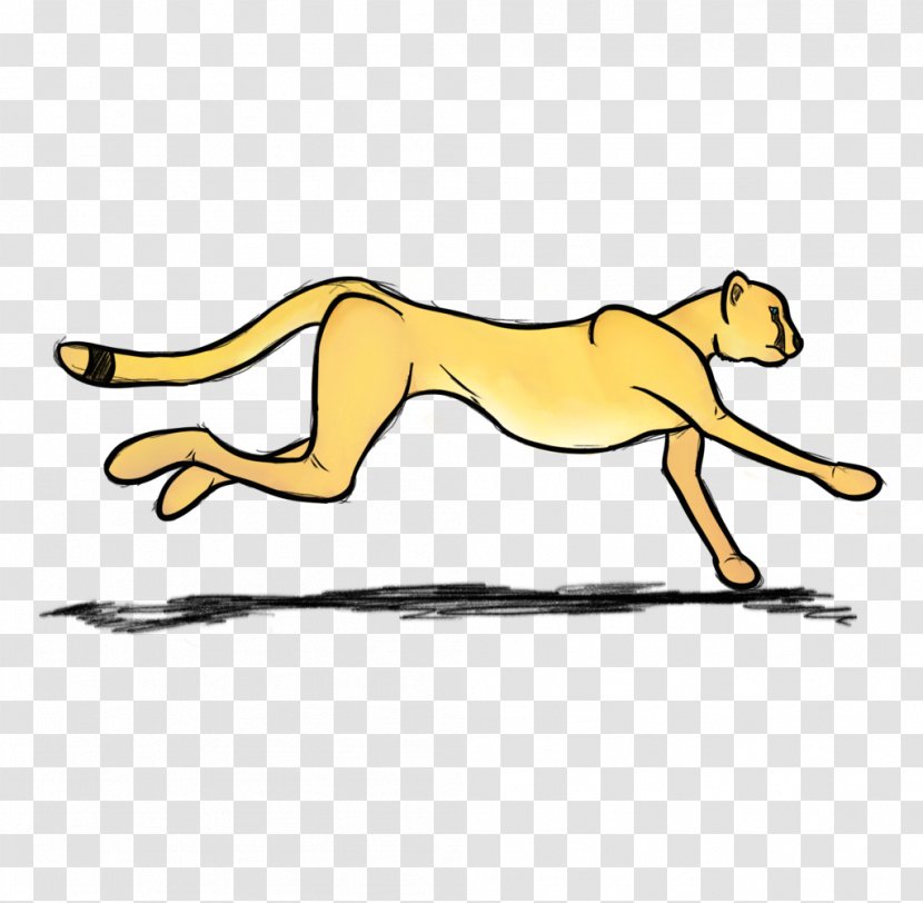 Cheetah Cat Lion Felidae Cougar - Organism Transparent PNG