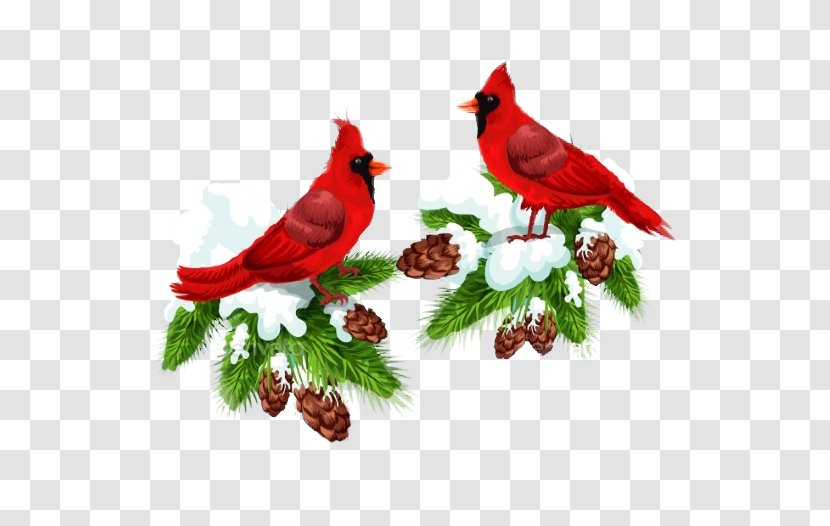 Bird Northern Cardinal Christmas Card Clip Art - Couple Creative Transparent PNG