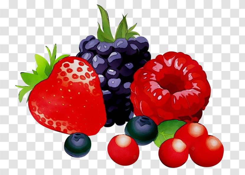 Berries Clip Art Fruit Food - Vegan Nutrition Transparent PNG