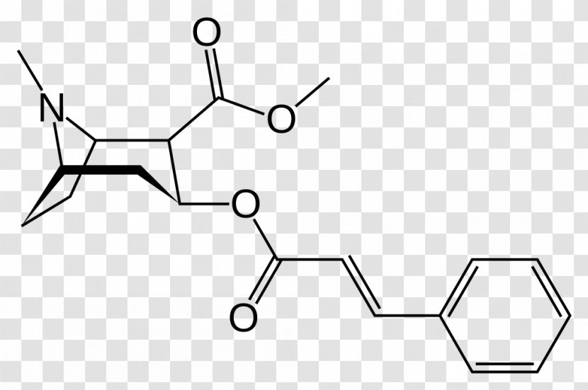 Methylecgonine Cinnamate Cocaine Tropane Alkaloid Erythroxylum Coca Benzoylecgonine - Wing Transparent PNG