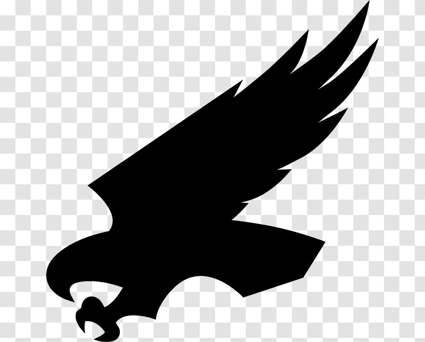 Eagle Clip Art Black Silhouette Beak - Bird Transparent PNG