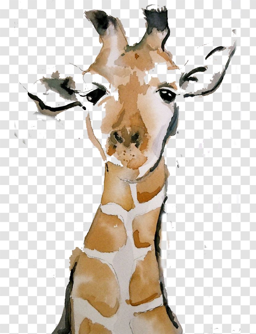 Giraffe Watercolor Painting Drawing Chinese Transparent PNG