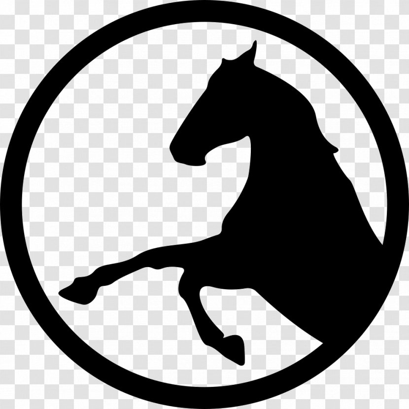 Riding Pony Symbol - Horse Like Mammal Transparent PNG