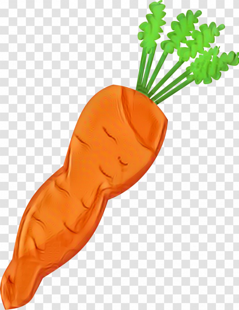 Baby Carrot Clip Art Vegetable Salad - Leaf Transparent PNG