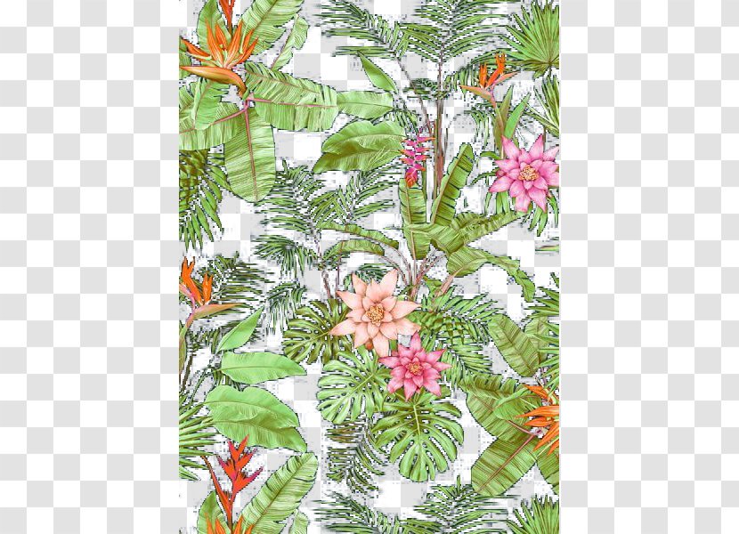 Pine Shrub Flowering Plant Leaf - Shading Transparent PNG