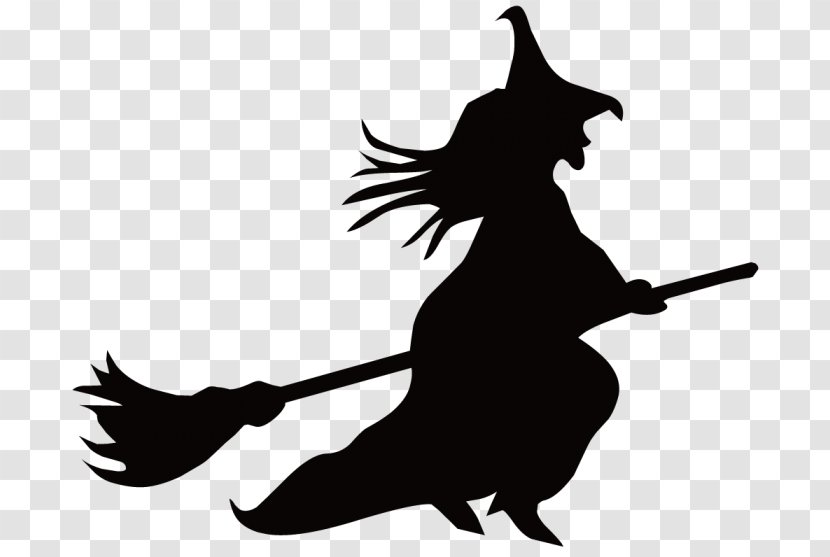 Witchcraft Broom Vector Graphics Image Witch Flying - Carnivoran - Livraison Transparent PNG