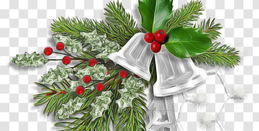 Christmas Decoration - Eve - Colorado Spruce Evergreen Transparent PNG